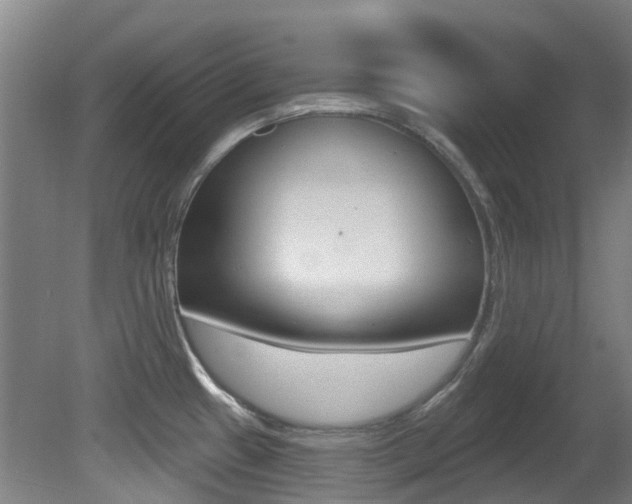 X0000081281433200701110922