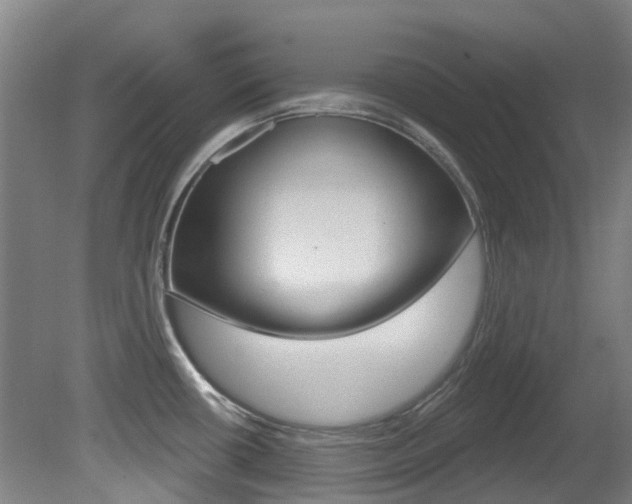 X0000081281434200701110922