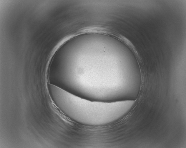 X0000081281435200701110922