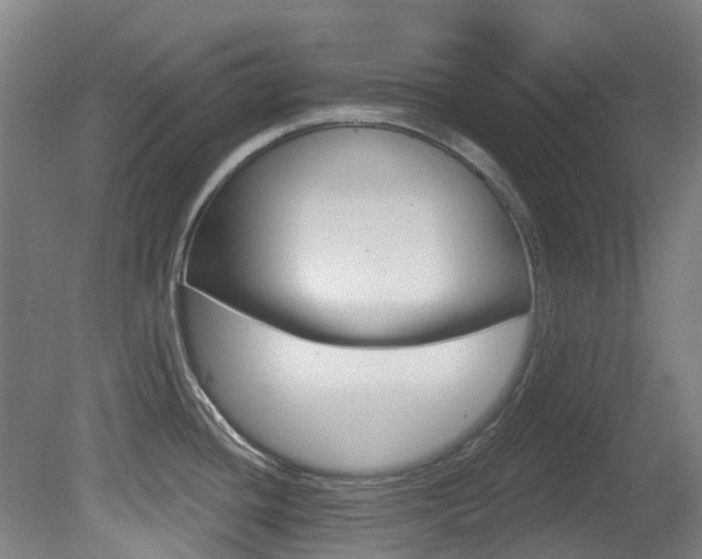 X0000081281436200701110922