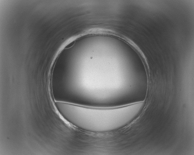 X0000081281437200701110922