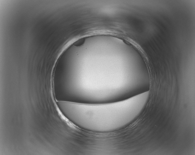 X0000081281439200701110922