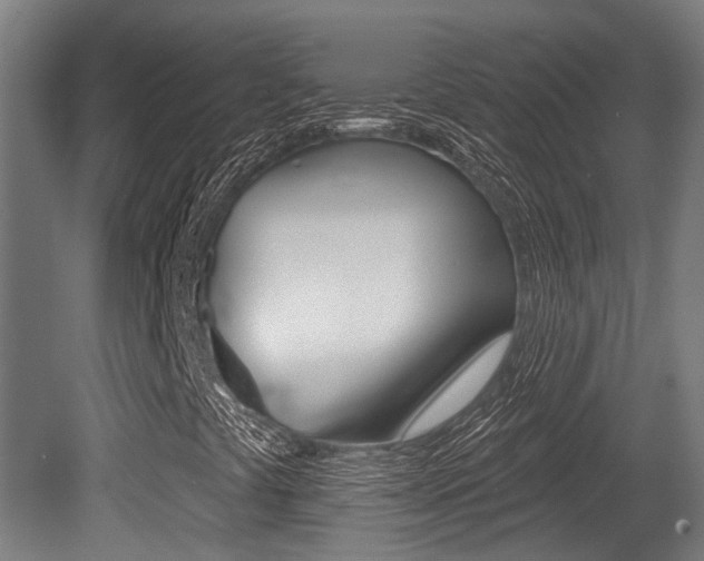 X0000081281441200701110921