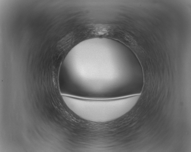 X0000081281442200701110921