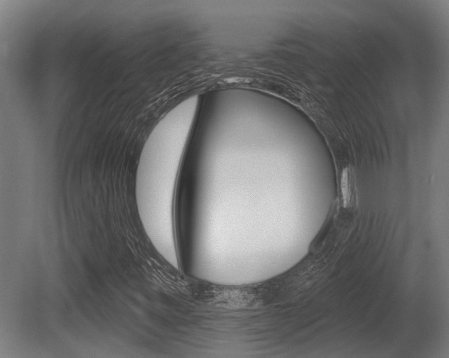 X0000081281443200701110921