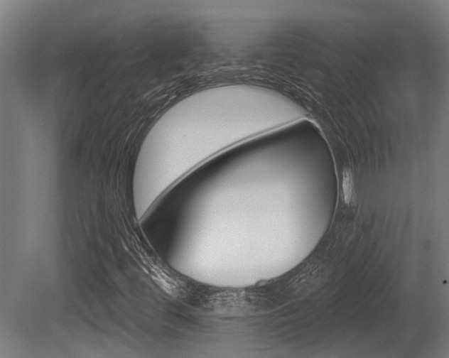 X0000081281444200701110921