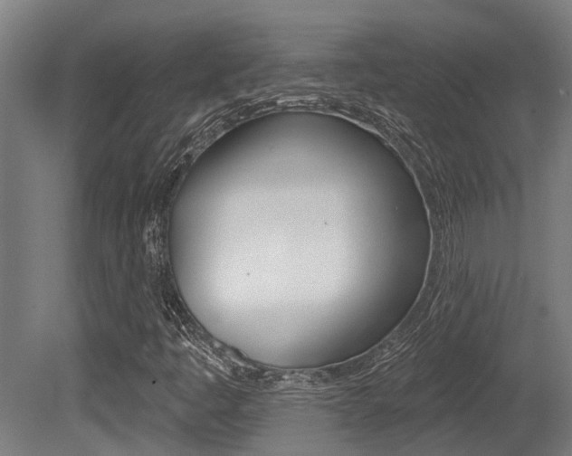 X0000081281445200701110921