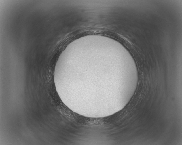 X0000081281447200701110921