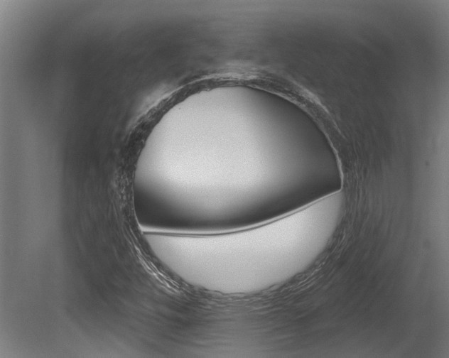 X0000081281448200701110921