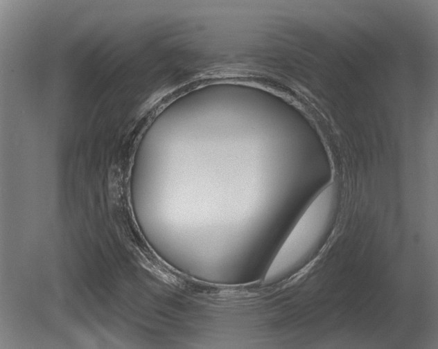 X0000081281449200701110921