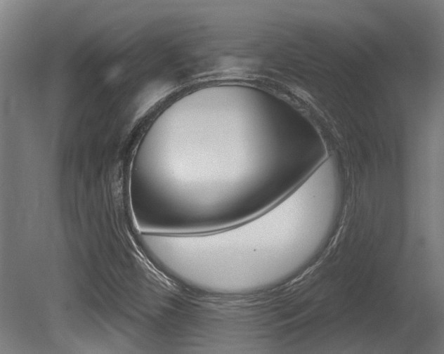X0000081281450200701110921