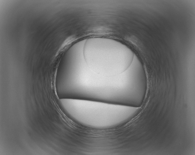 X0000081281451200701110921