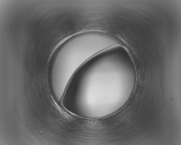 X0000081281452200701110921