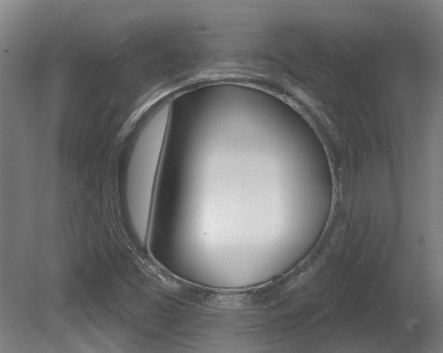 X0000081281453200701110921