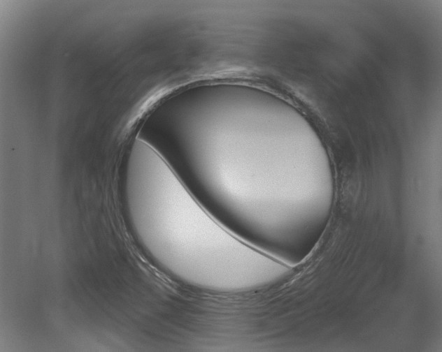 X0000081281455200701110921