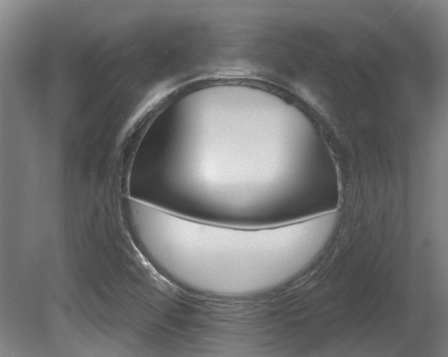 X0000081281456200701110921
