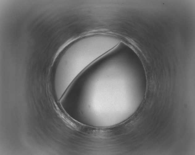 X0000081281458200701110921