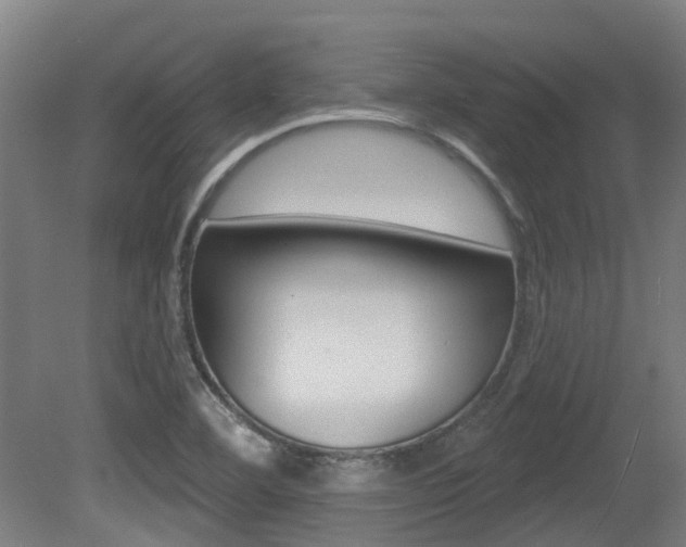 X0000081281460200701110921