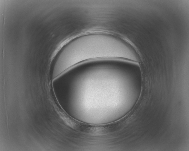 X0000081281461200701110921