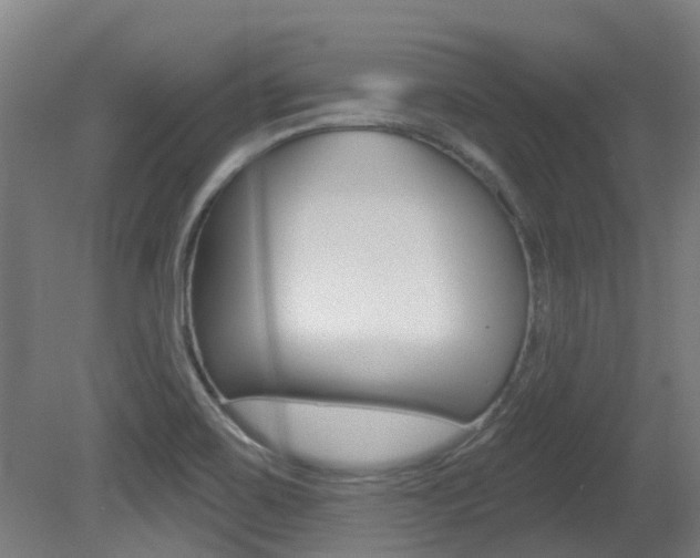 X0000081281467200701110921