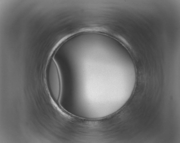 X0000081281468200701110921