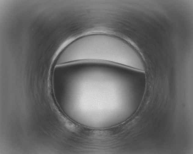 X0000081281469200701110921