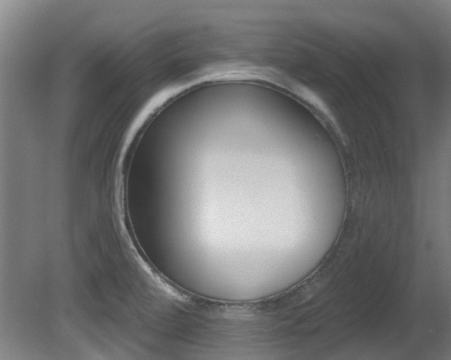 X0000081281472200701110921