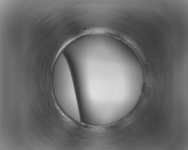 X0000081281473200701110921