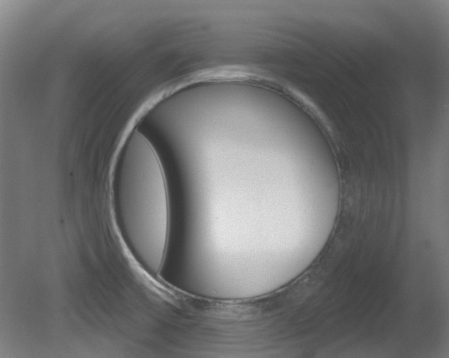 X0000081281475200701110921