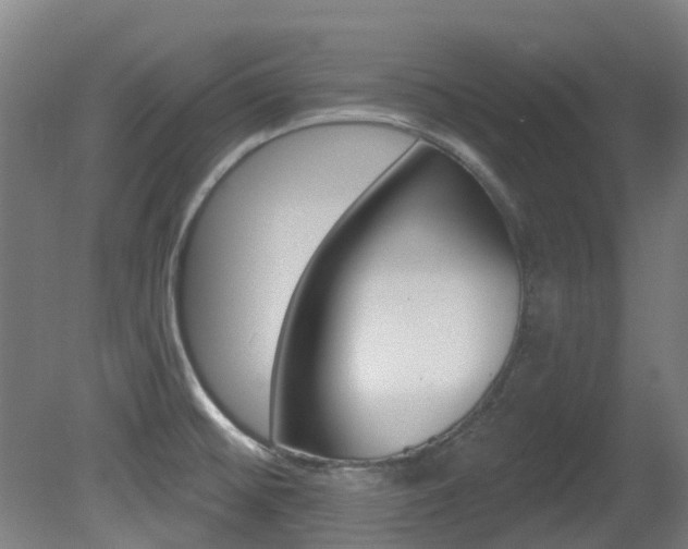 X0000081281476200701110921