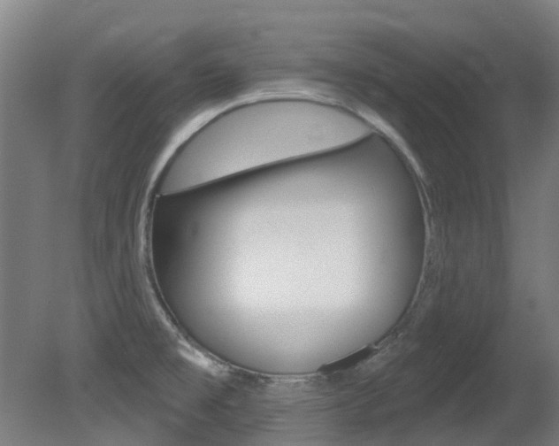 X0000081281477200701110921