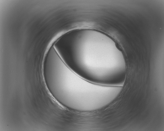 X0000081281480200701110921