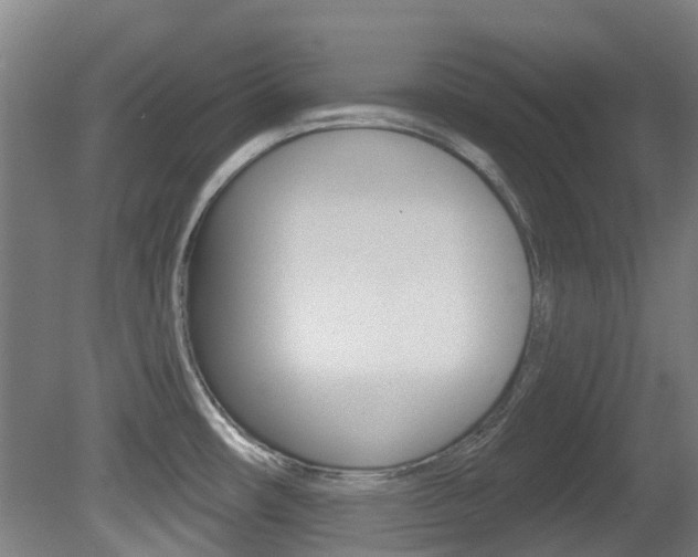 X0000081281482200701110921