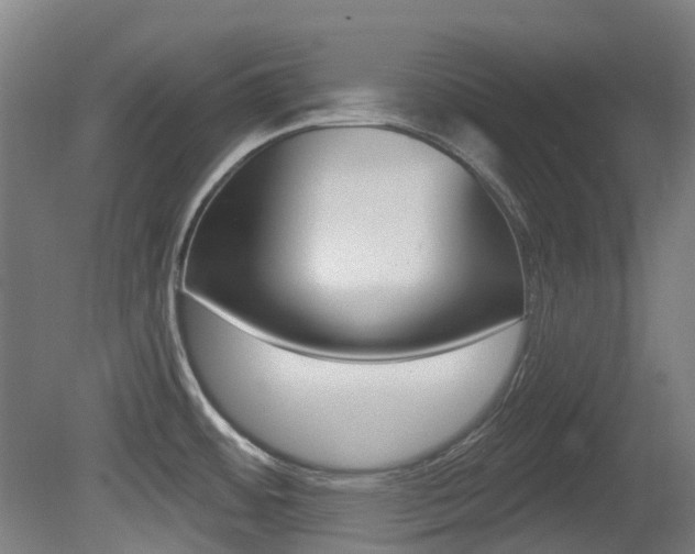 X0000081281484200701110921