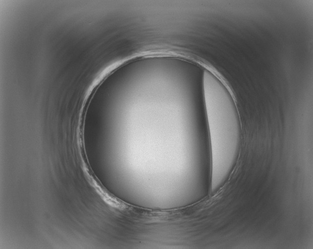 X0000081281485200701110921