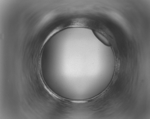 X0000081281487200701110921