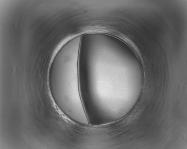 X0000081281488200701110921