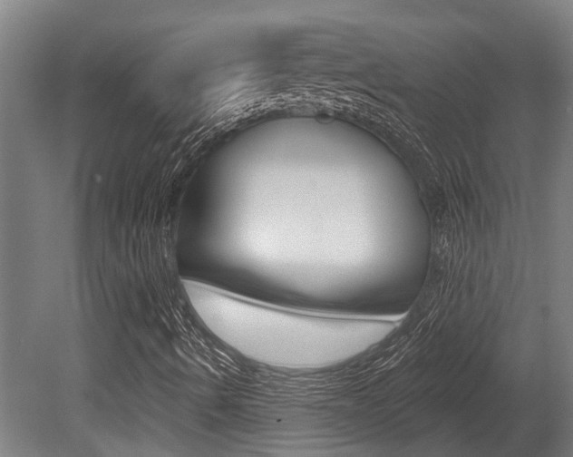 X0000081281490200701110920