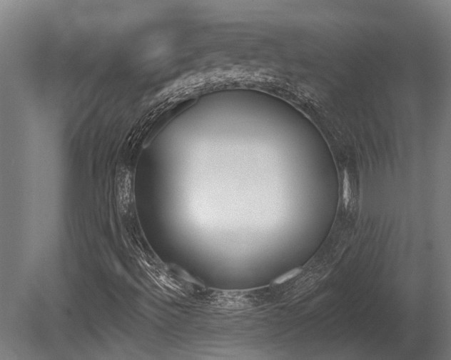 X0000081281492200701110920