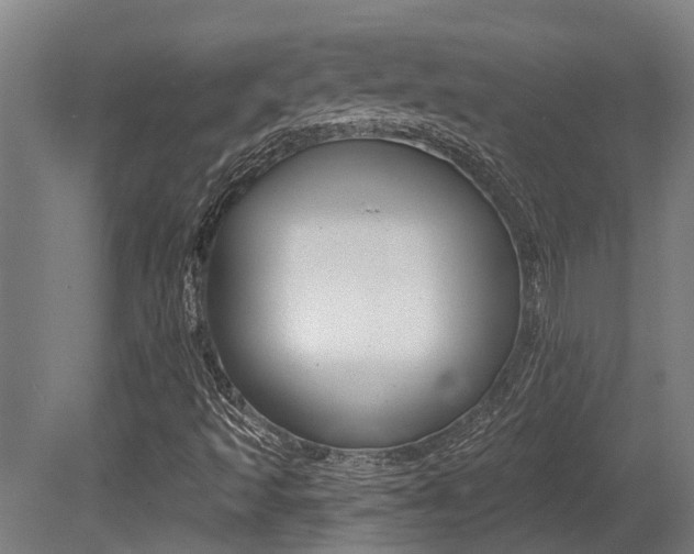 X0000081281493200701110920
