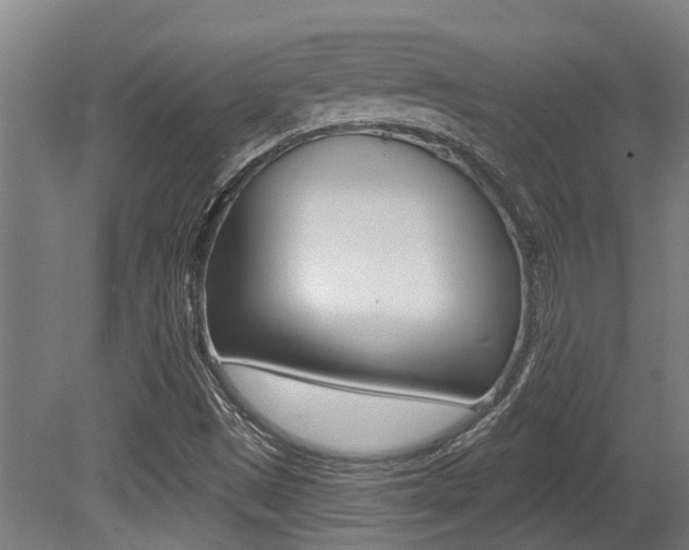 X0000081281497200701110920
