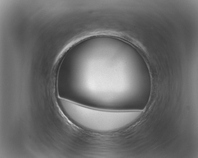 X0000081281504200701110920