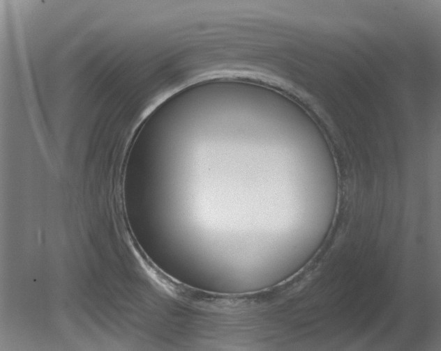 X0000081281521200701110920
