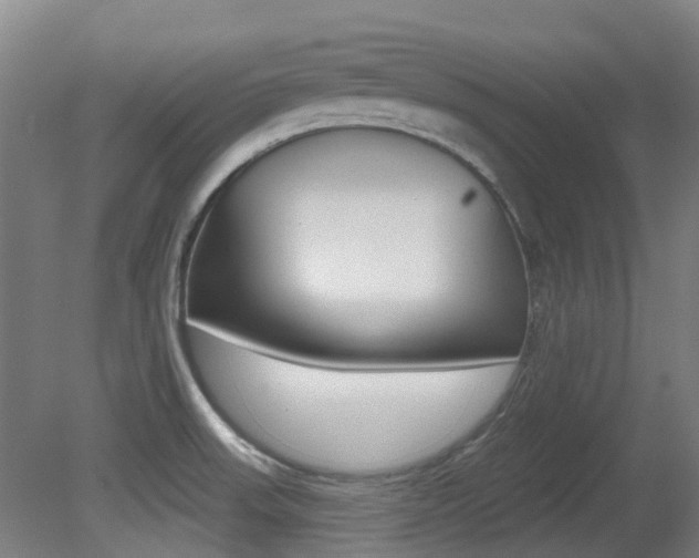 X0000081281523200701110920