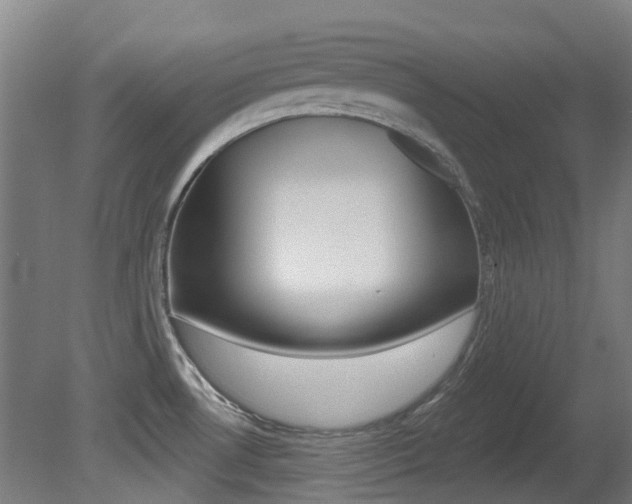 X0000081281530200701110921