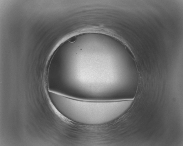 X0000081281531200701110921