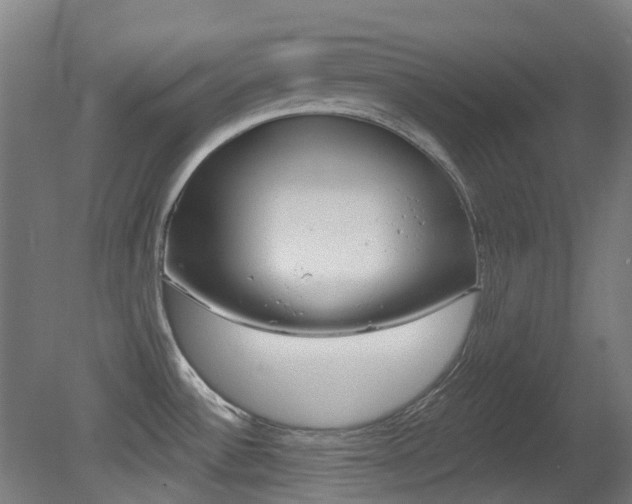 X0000081281532200701110921