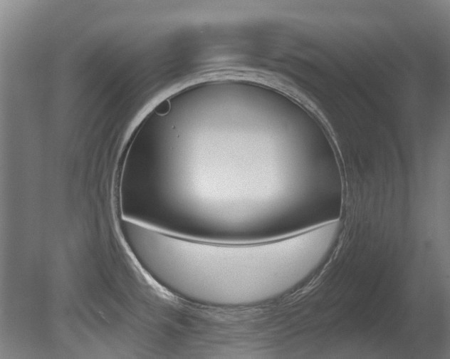 X0000081281533200701110921