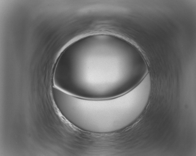X0000081281534200701110921
