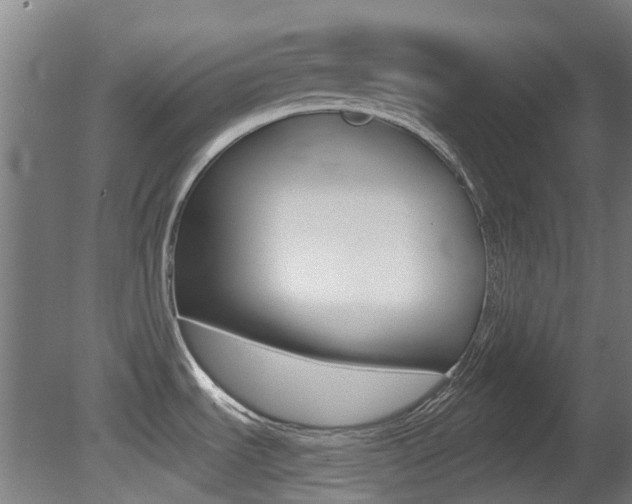 X0000081281535200701110921